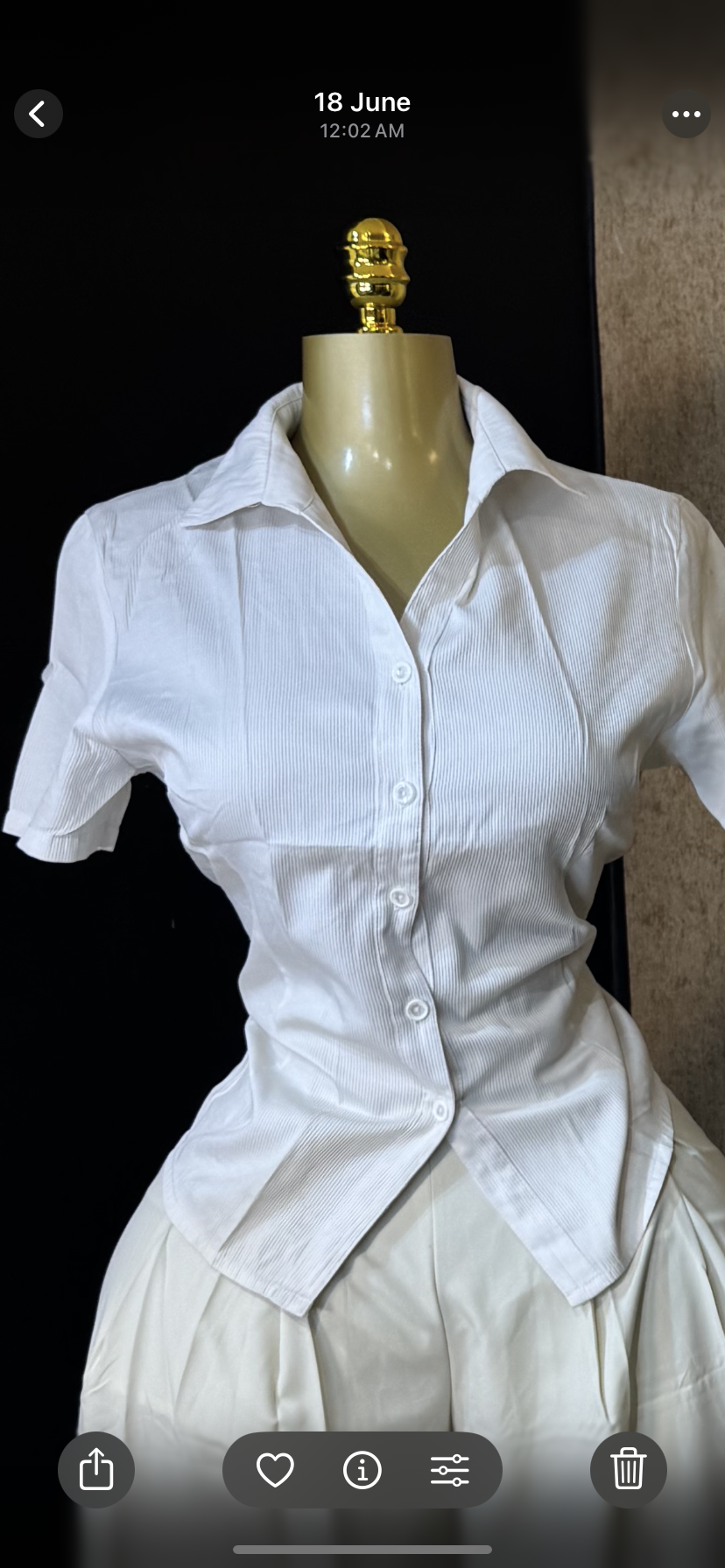 Shirt size 6