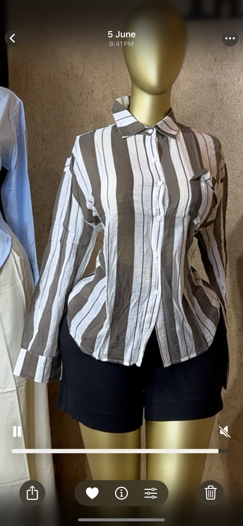 Shirt size 12